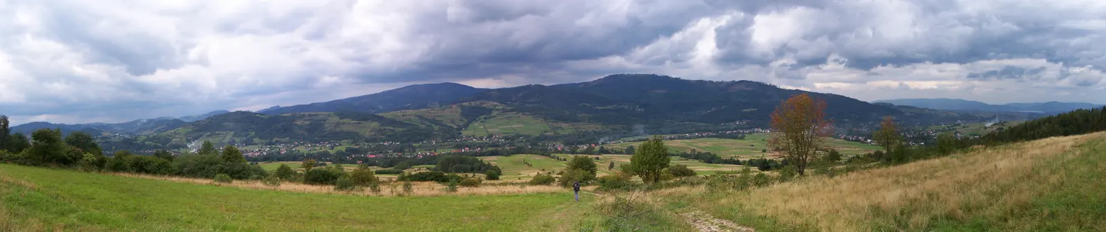 Panorama lasów Beskidu Śląskiego