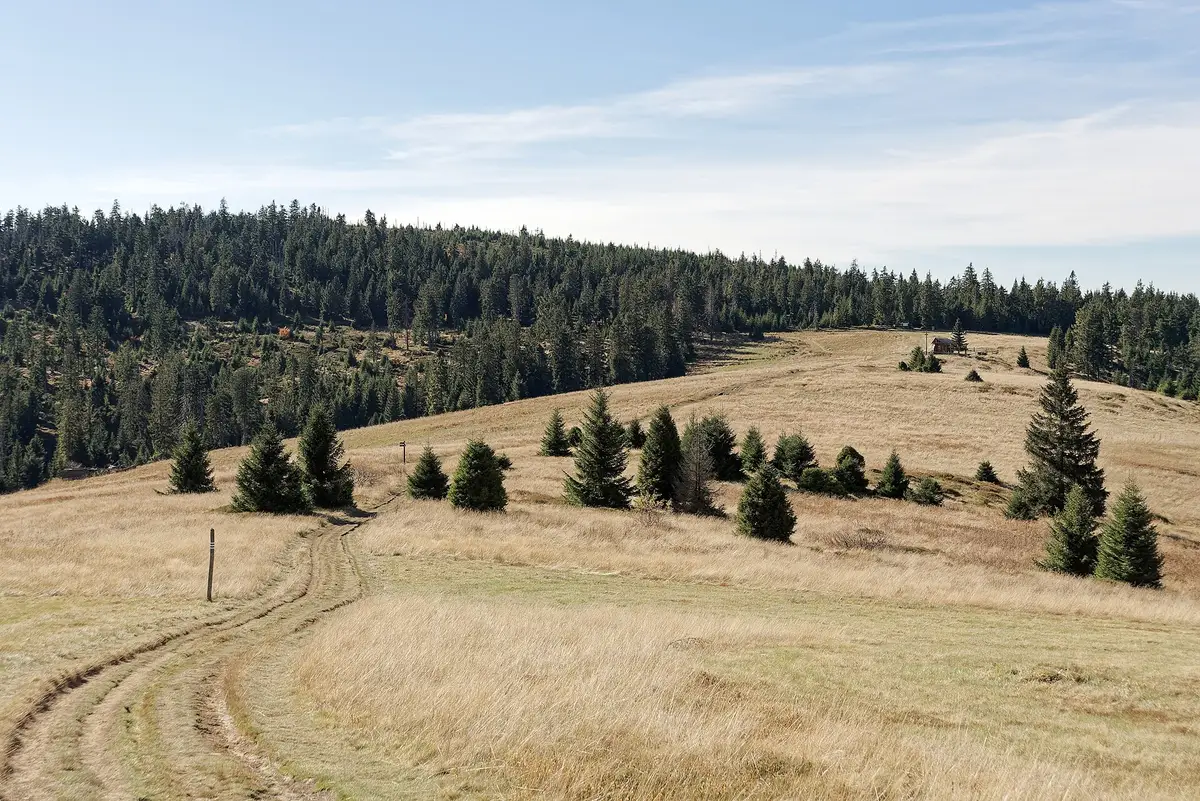 Hala Turbacz w Gorcach jesienią