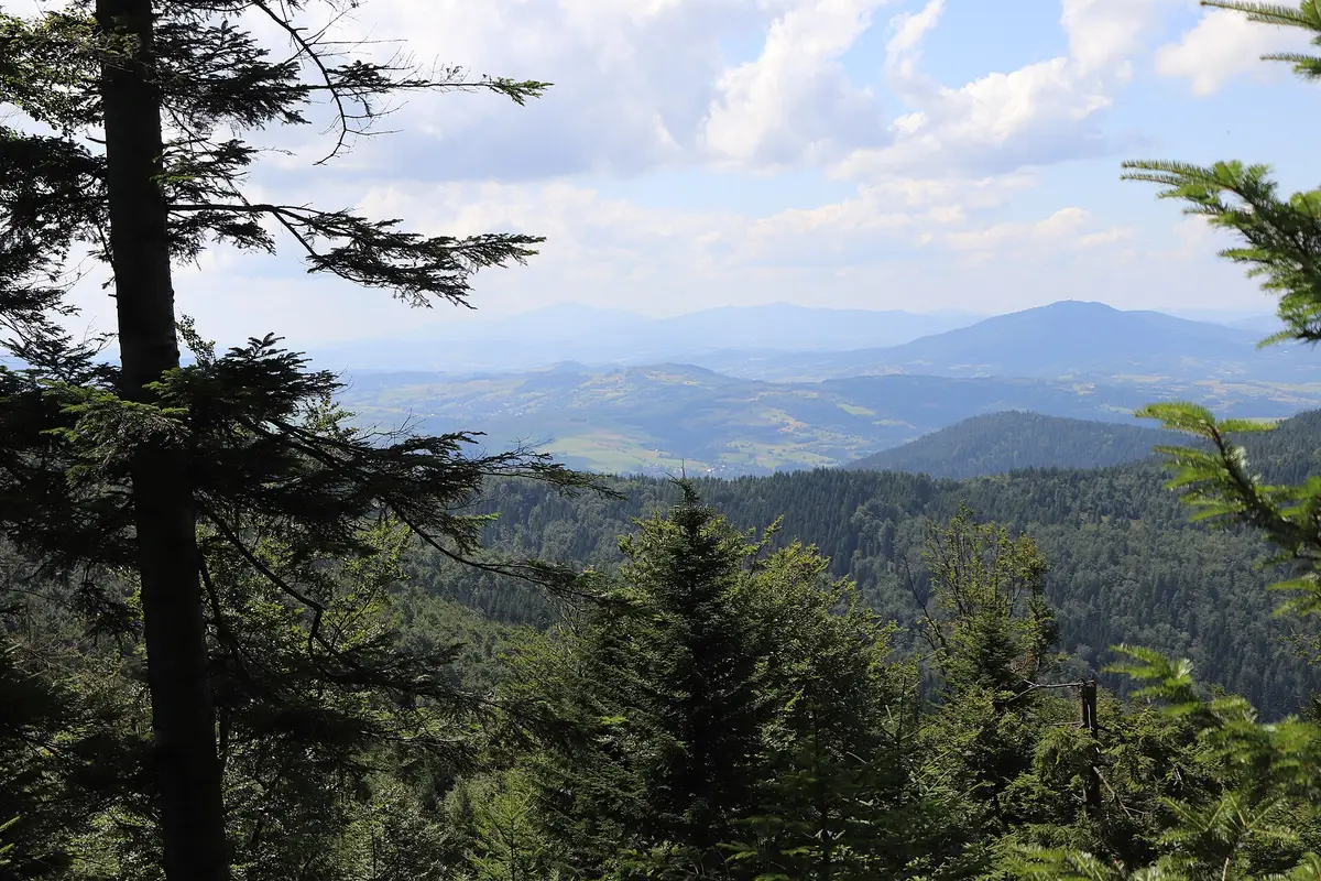 Beskid Wyspowy widziany spod Jasienia