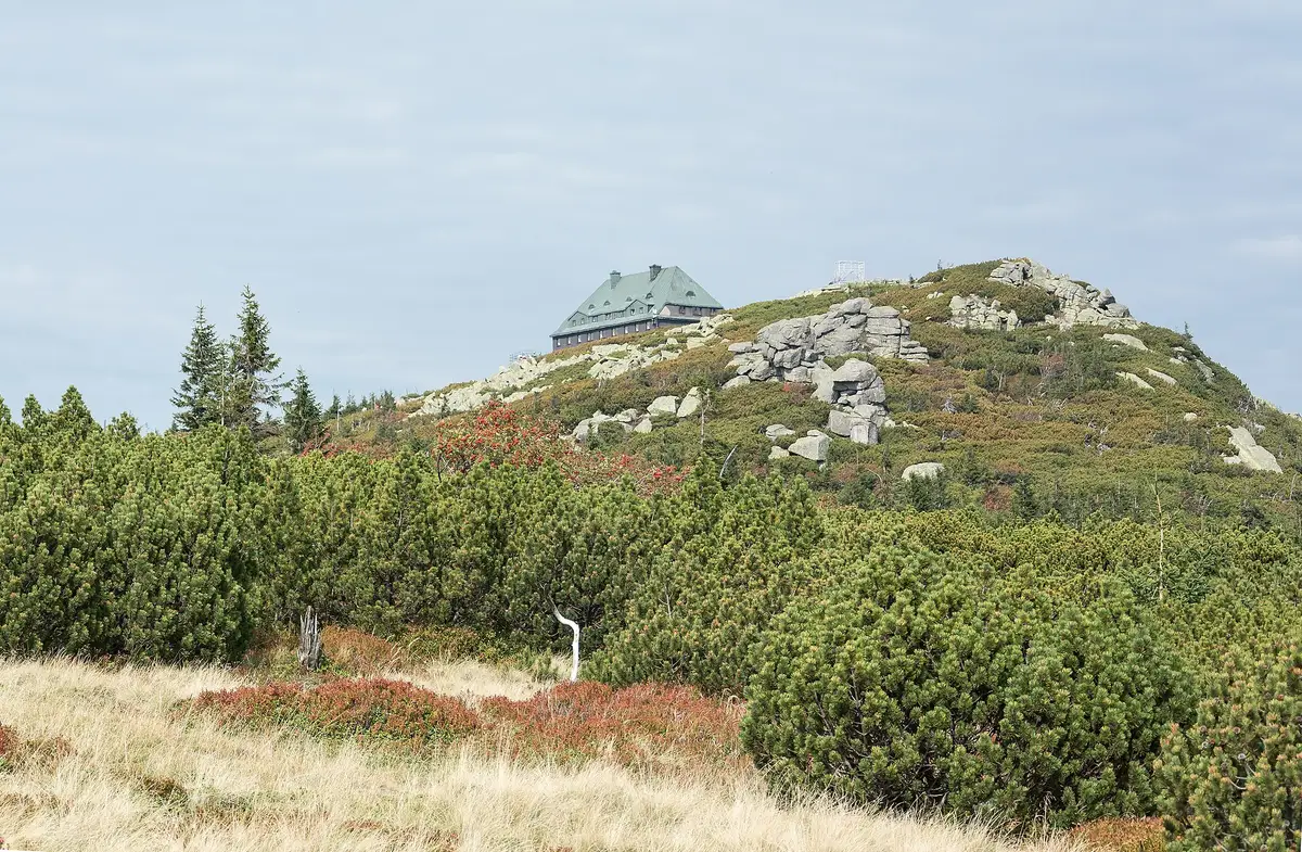 Szrenica w Karkonoszach