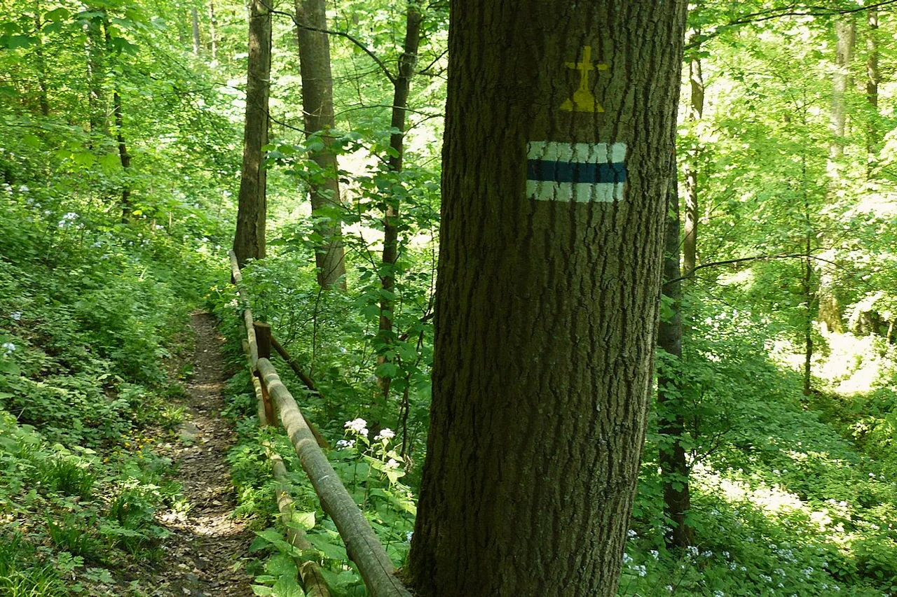 Szczerba