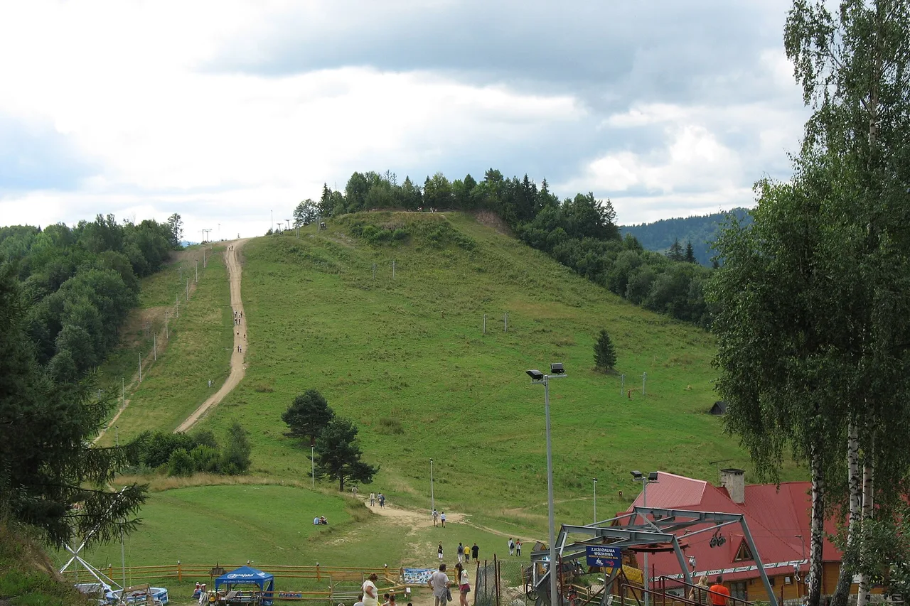 Szafranówka