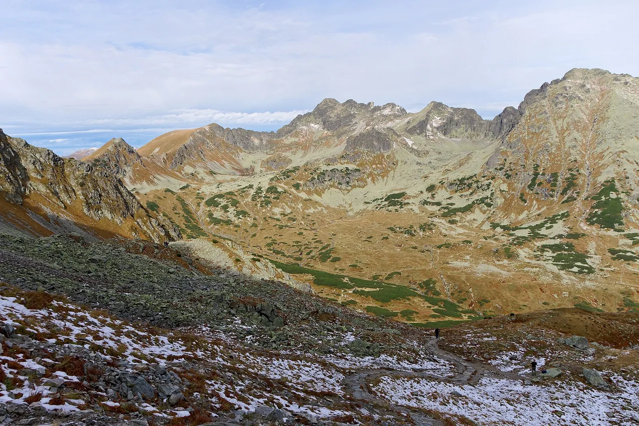 Świnica