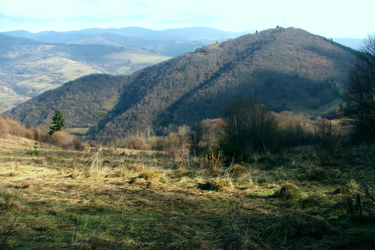 Jarmutka