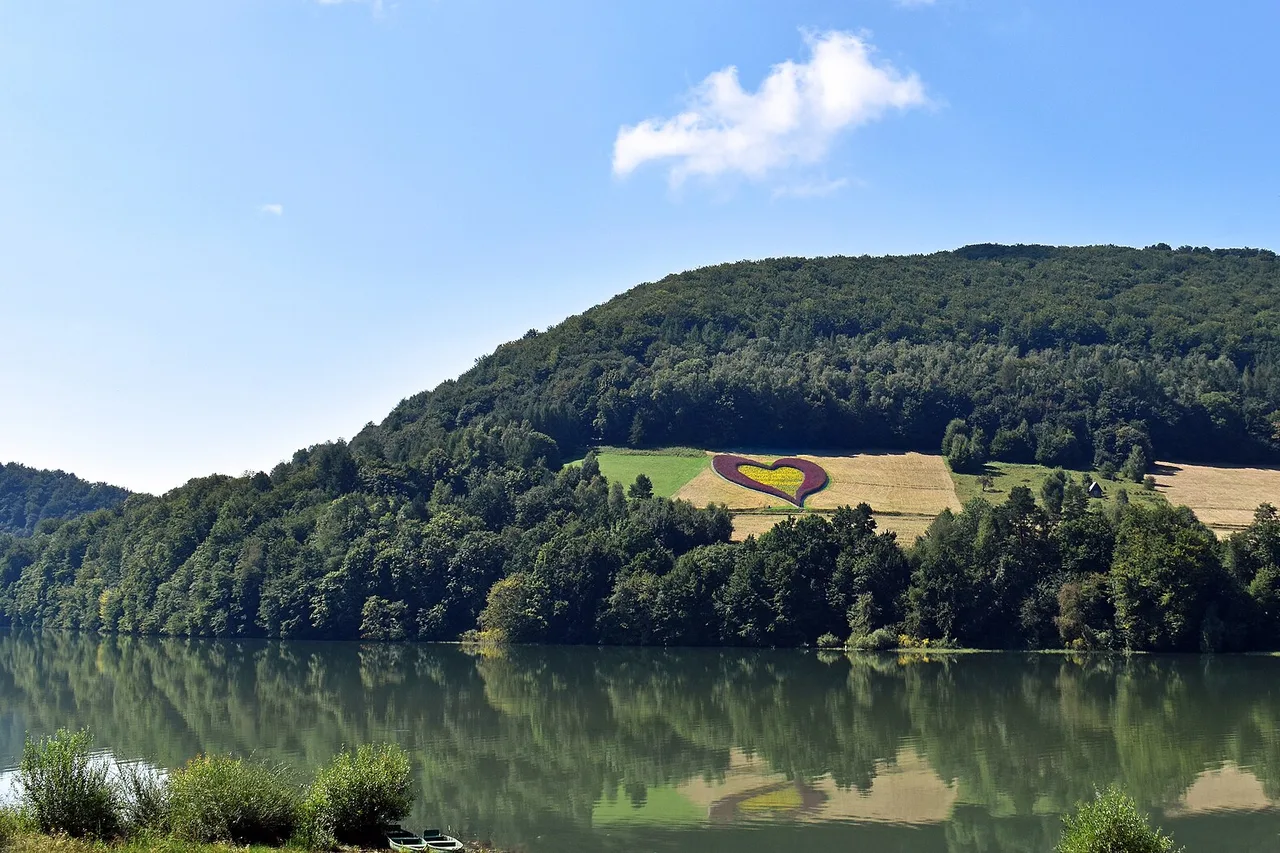 Rezerwat Nad Jeziorem Myczkowieckim