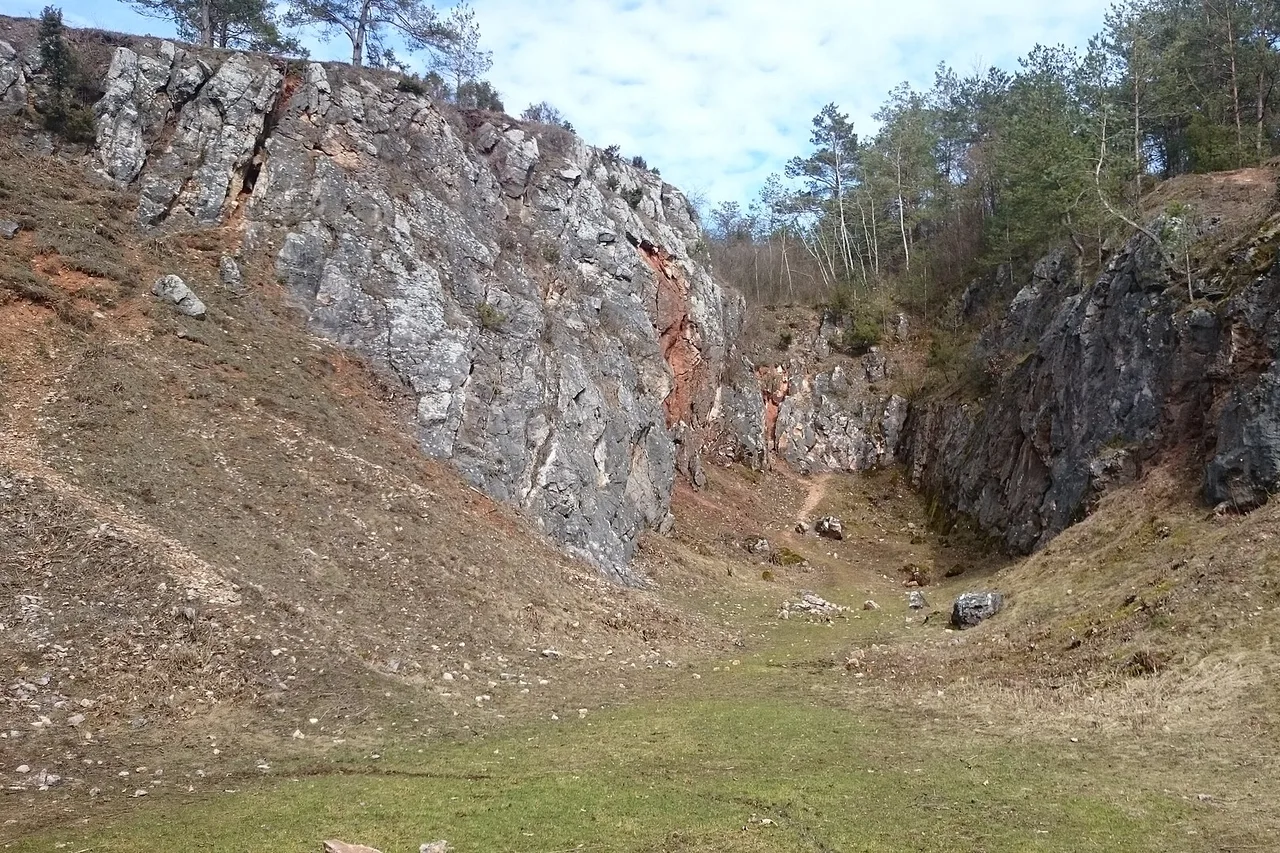 Rezerwat Góra Zelejowa