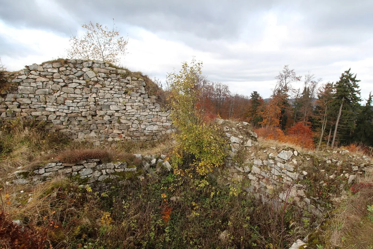 Zamek Karpień