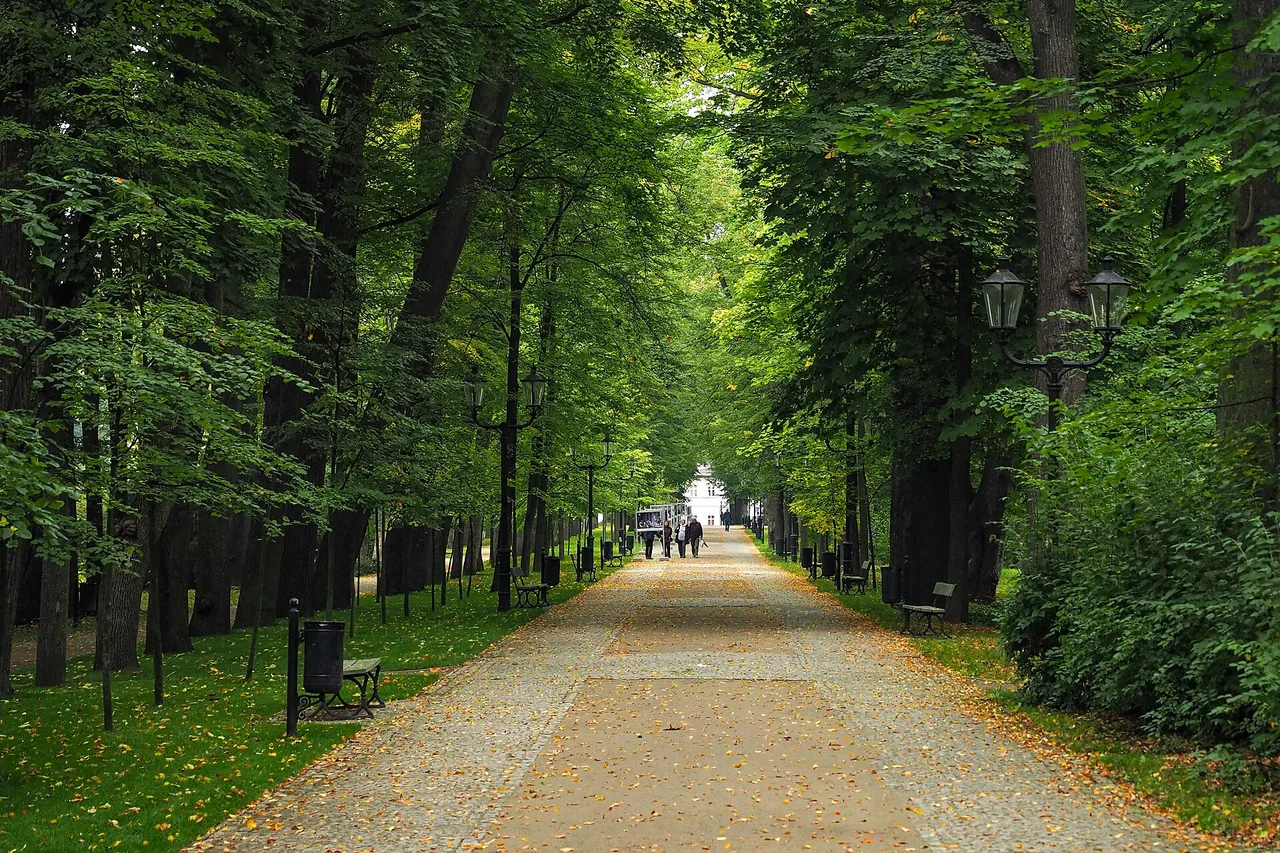 Park Zdrojowy