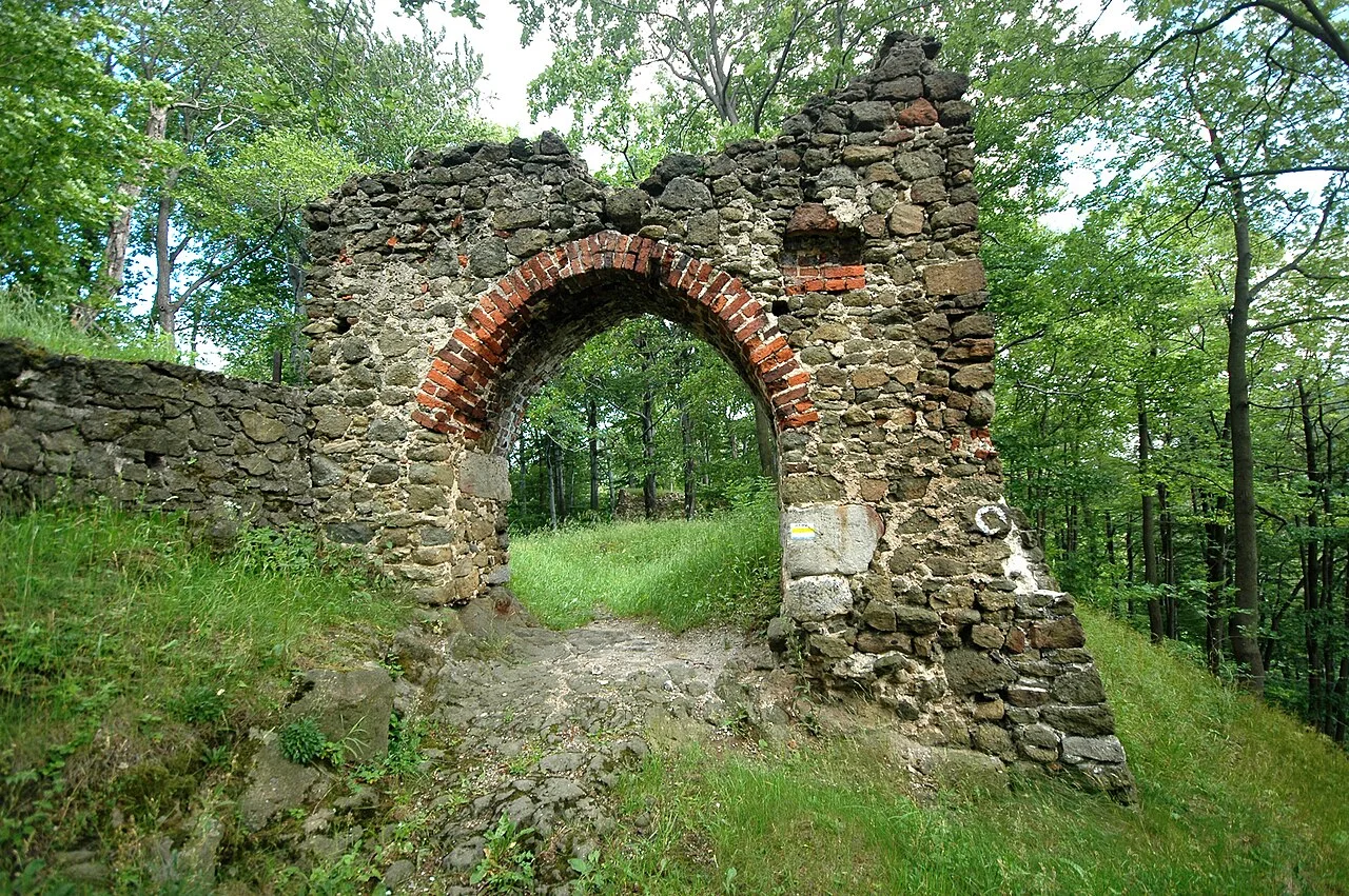 Zamek Nowy Dwór