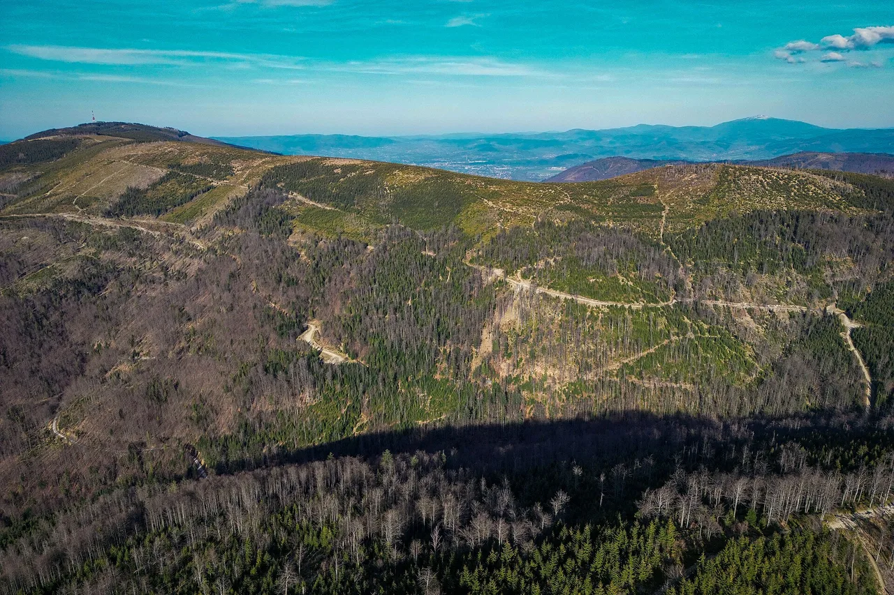Wychodnia skalna na Malinowskiej Skale