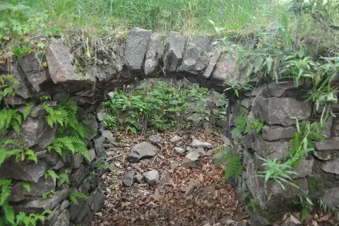Ruiny Zamku Radosno