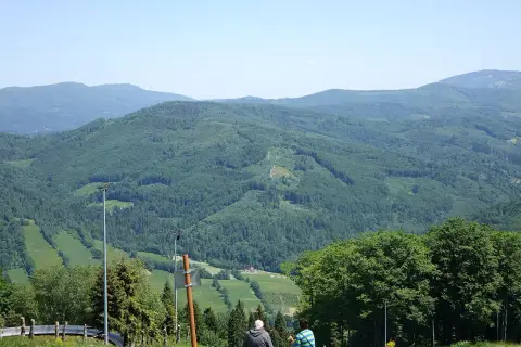 Orłowa