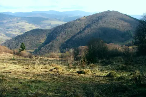 Jarmutka