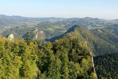 Sokolica