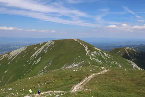 Małołączniak