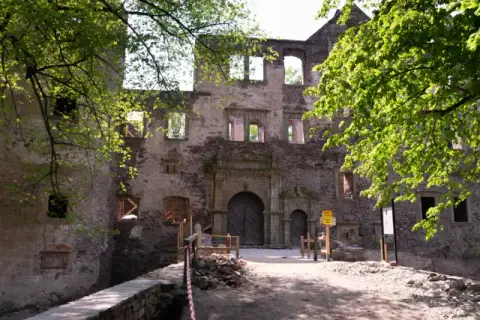 Zamek Świny