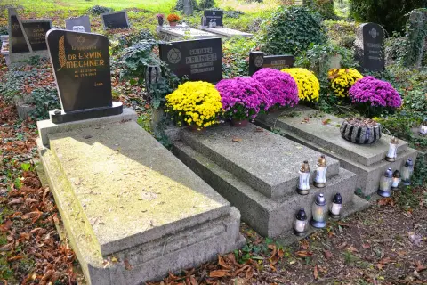Cmentarz Żydowski